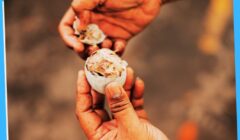 Balut