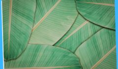 banana leaves